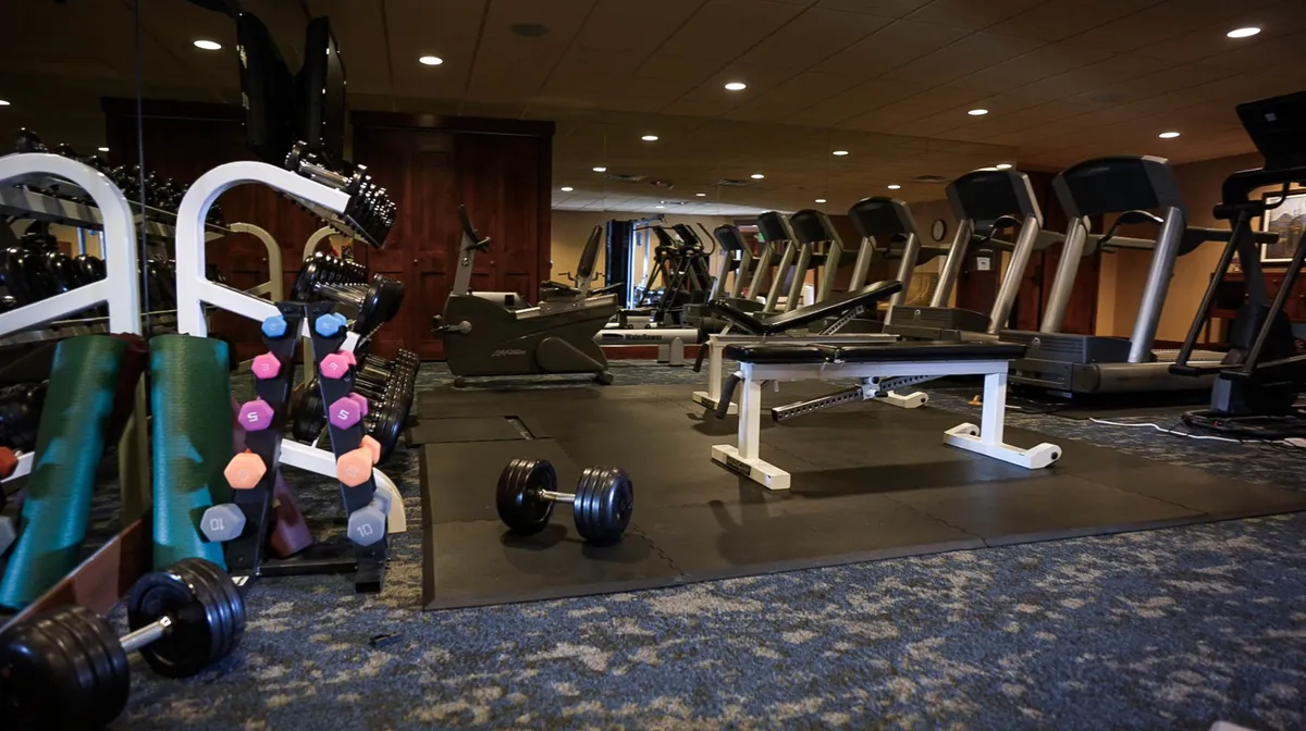 This gym scene features a range of equipment including dumbbells, treadmills, an exercise bench, and mats—ideal for cardio, weight training, or stretching. The bright setting encourages motivation and complements the active, outdoorsy lifestyle described in the section.